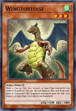 Wingtortoise - Art 1