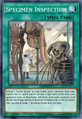 Specimen Inspection - Art 1