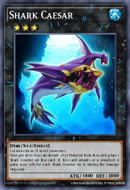 Shark Caesar - Art 1
