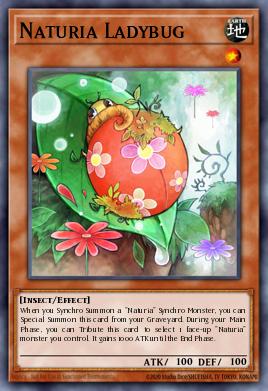 Naturia Ladybug - Art 1