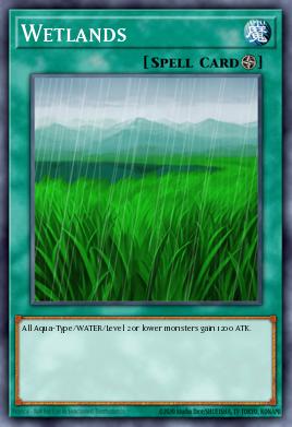 Wetlands - Art 1
