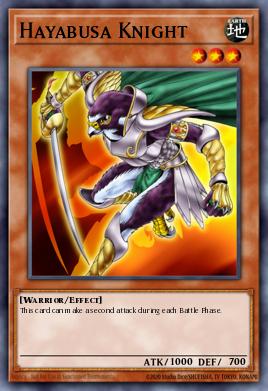 Hayabusa Knight - Art 1