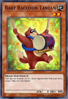 Baby Raccoon Tantan - Art 1