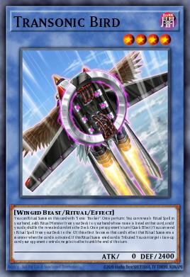 Transonic Bird - Art 1