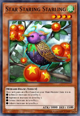 Star Staring Starling - Art 1