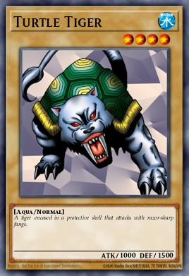 Turtle Tiger - Art 1