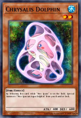 Chrysalis Dolphin - Art 1