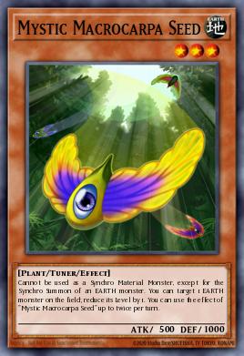 Mystic Macrocarpa Seed - Art 1