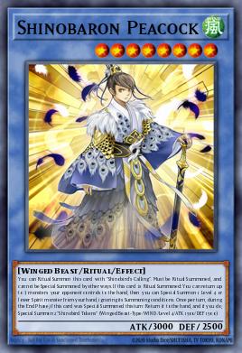 Shinobaron Peacock - Art 1