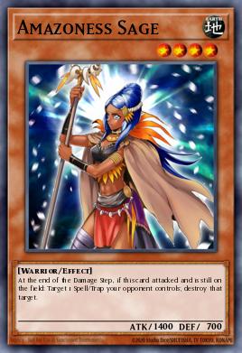Amazoness Sage - Art 1