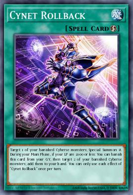 Cynet Rollback - Art 1