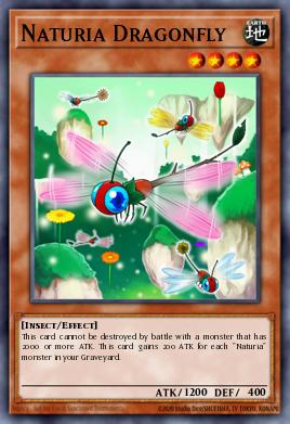 Naturia Dragonfly - Art 1