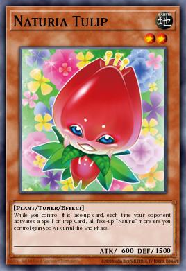 Naturia Tulip - Art 1