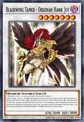 Blackwing Tamer - Obsidian Hawk Joe - Art 1