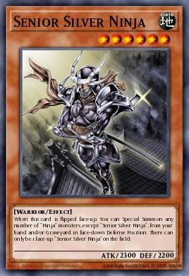 Senior Silver Ninja - Art 1