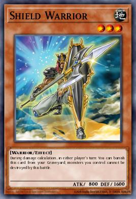 Shield Warrior - Art 1