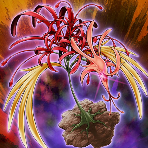 Phoenixian Cluster Amaryllis
