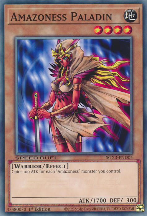 Amazoness Paladin