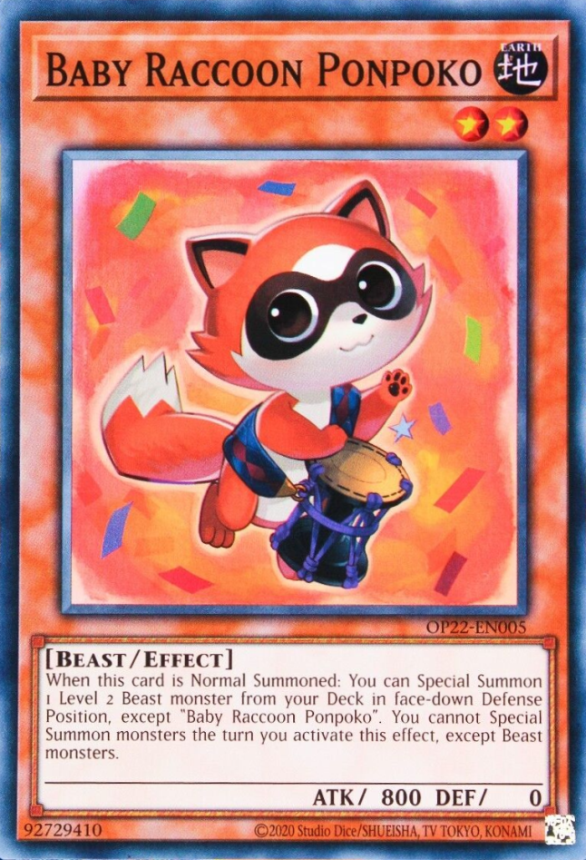 Baby Raccoon Ponpoko