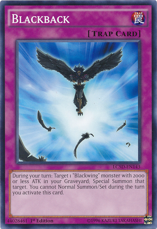 Blackback