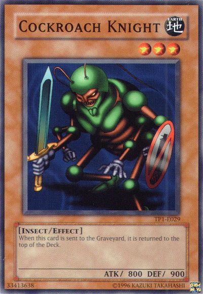 Cockroach Knight