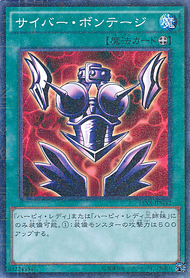 Cyber Shield
