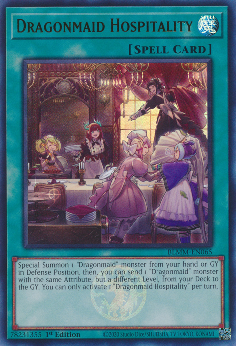 Dragonmaid Hospitality
