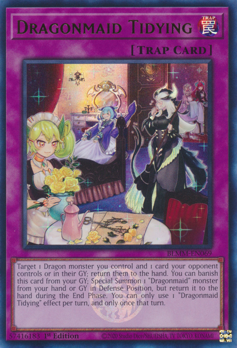 Dragonmaid Tidying