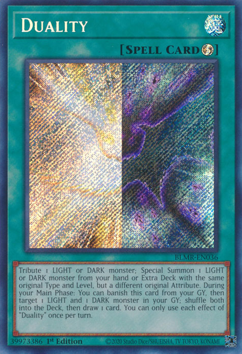Duality