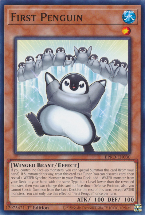 First Penguin