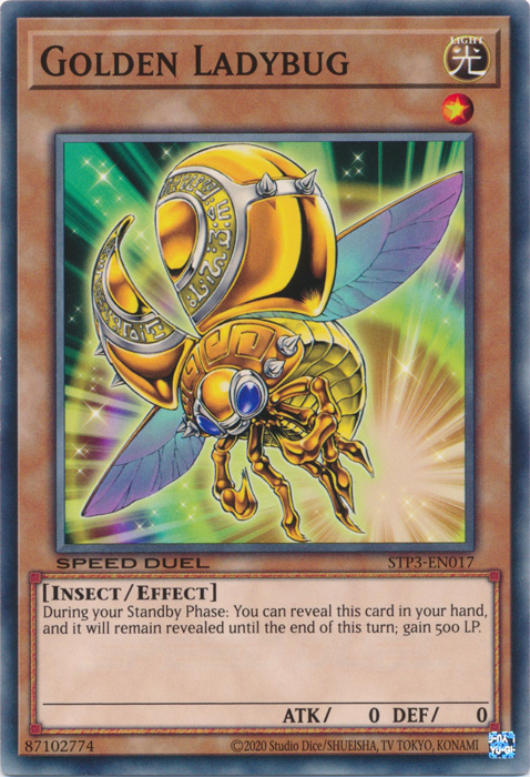 Golden Ladybug