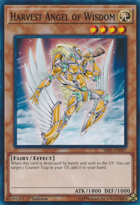 Harvest Angel of Wisdom