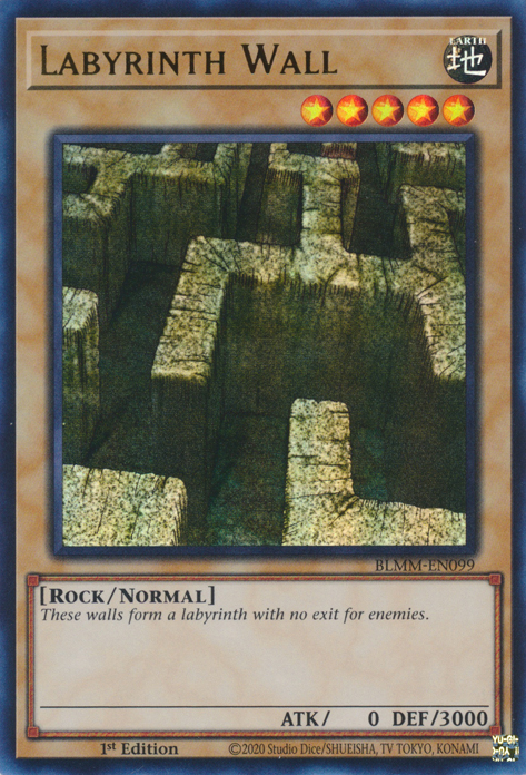 Labyrinth Wall