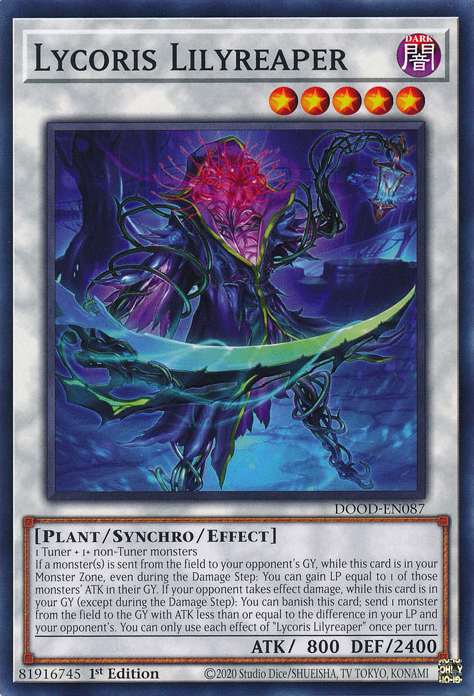 Lycoris Lilyreaper