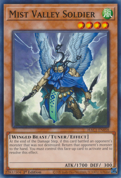 Mist Valley Soldier