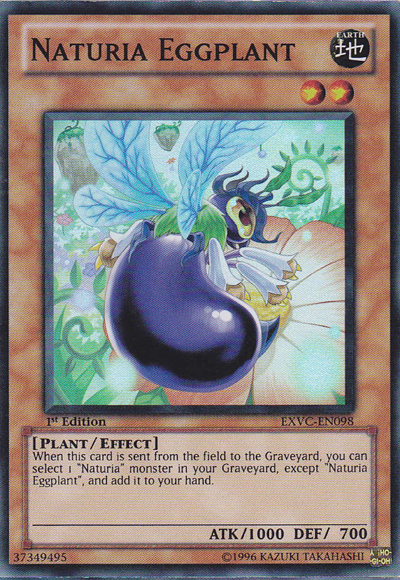 Naturia Eggplant