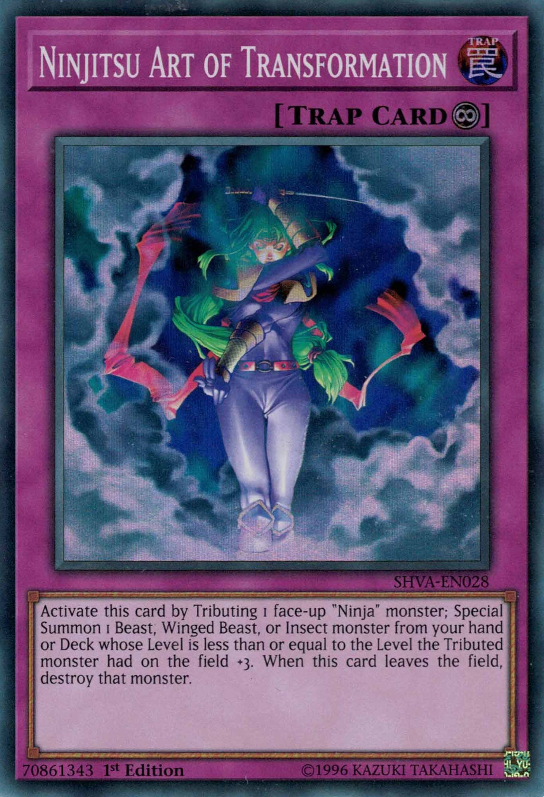 Ninjitsu Art of Transformation