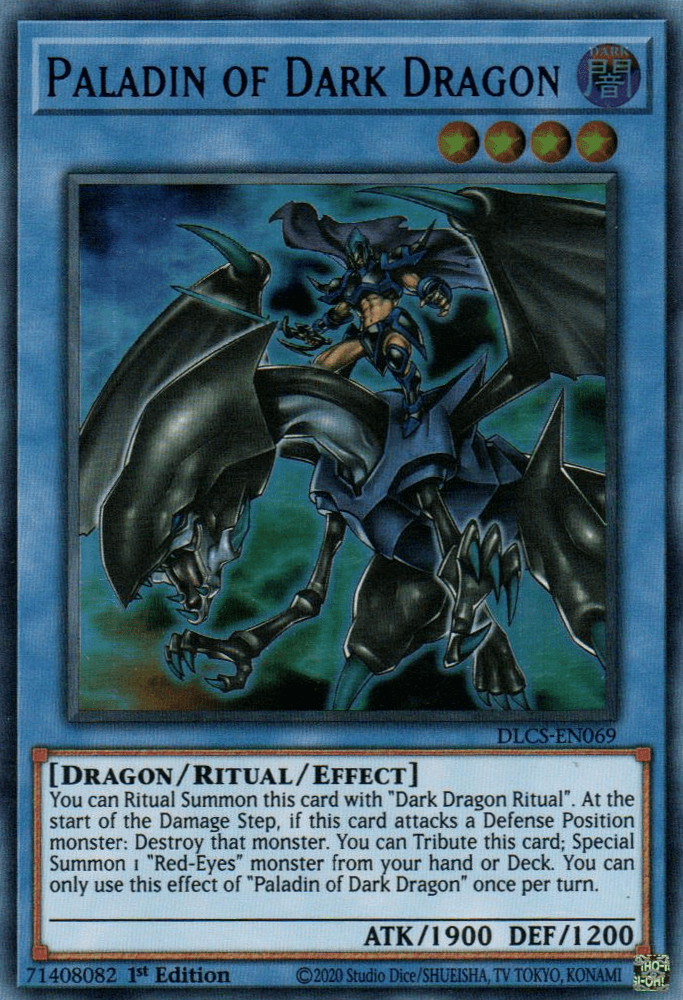 Paladin of Dark Dragon