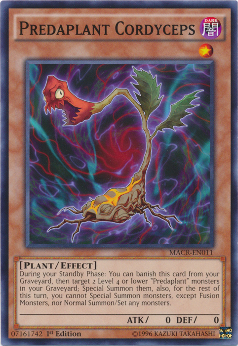 Predaplant Cordyceps