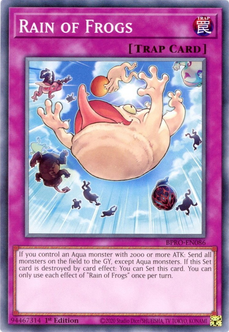 Rain of Frogs