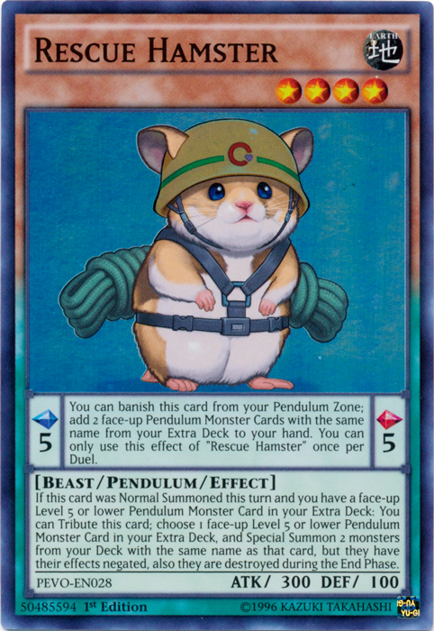 Rescue Hamster