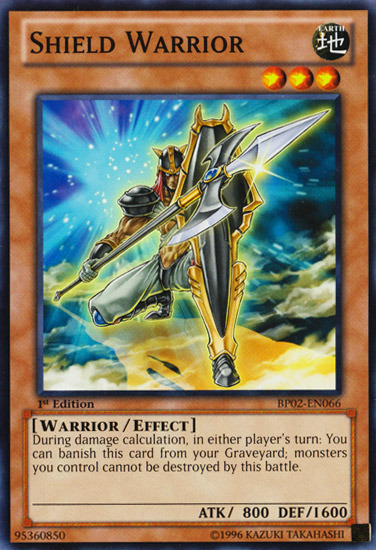 Shield Warrior