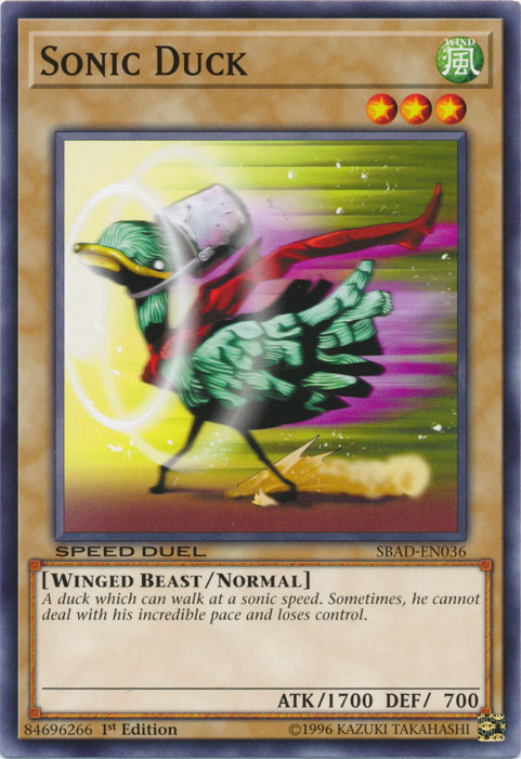 Sonic Duck