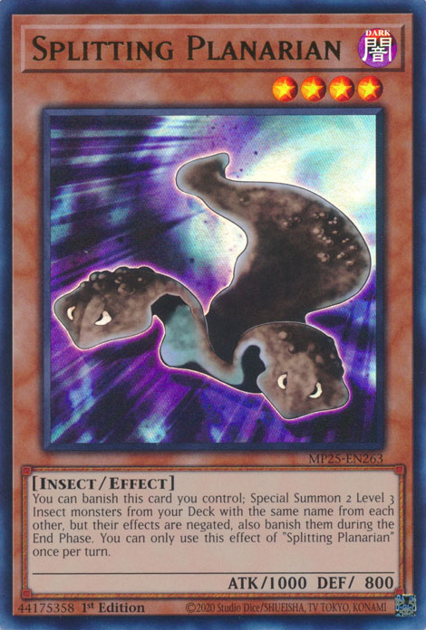 Splitting Planarian