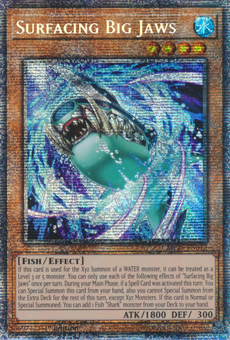 Surfacing Big Jaws