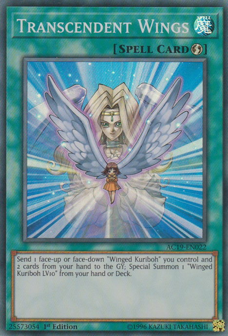 Transcendent Wings