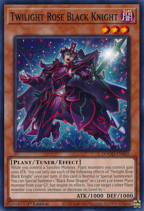 Twilight Rose Black Knight