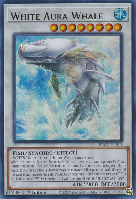 White Aura Whale